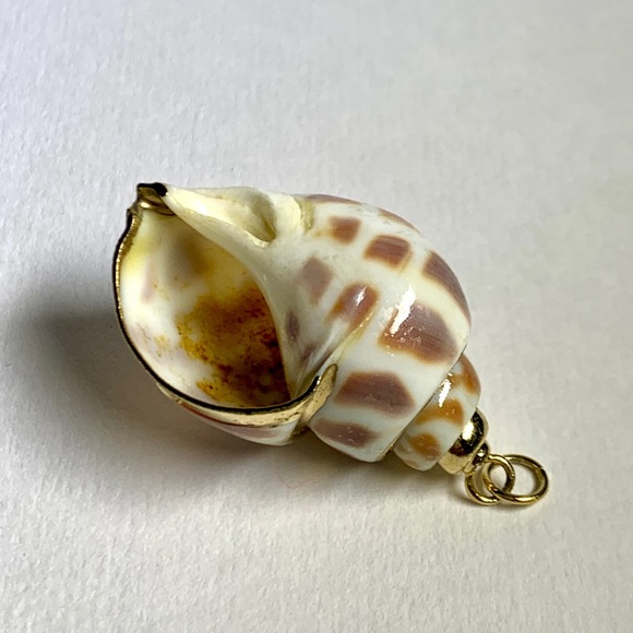 ⭐️ Gold Plated Shell ⭐️ - Picture 6 of 8